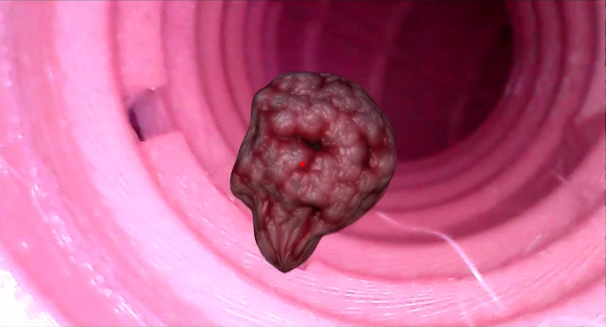 ModuleAR project overview